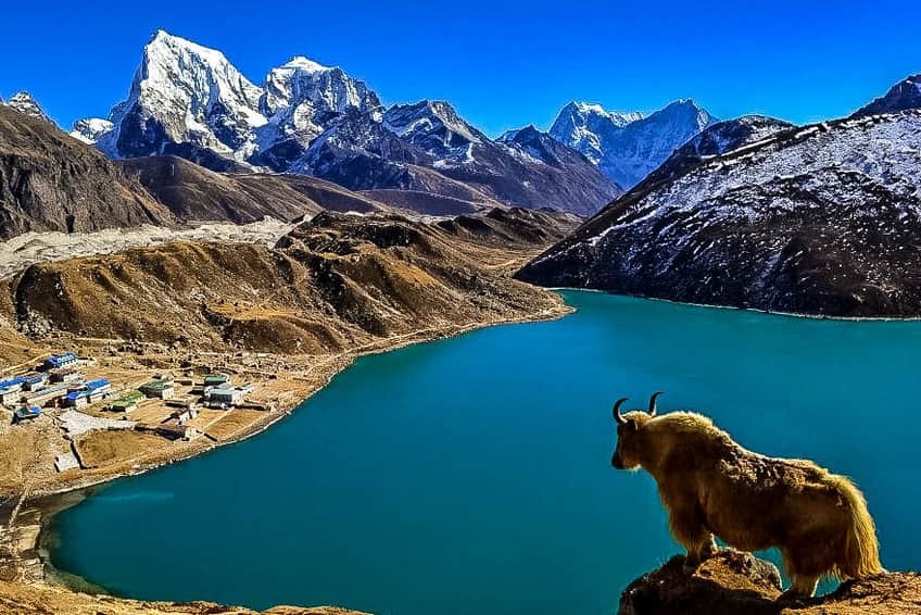 Everest Three Pass Trek