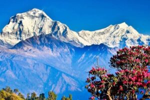 ghorepani-poonhill-trek