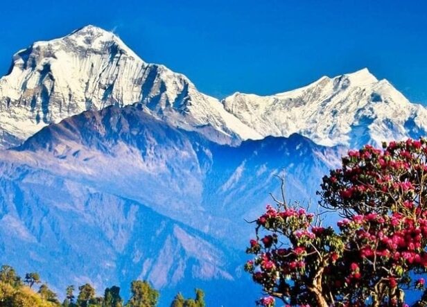 ghorepani-poonhill-trek