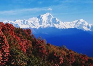 ghorepani-poonhill-trek