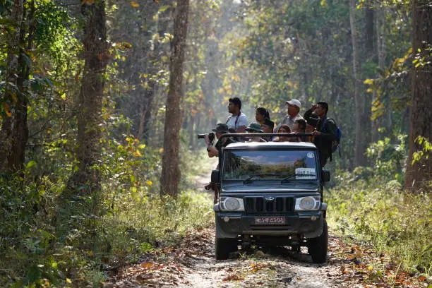 Chitwan jungle