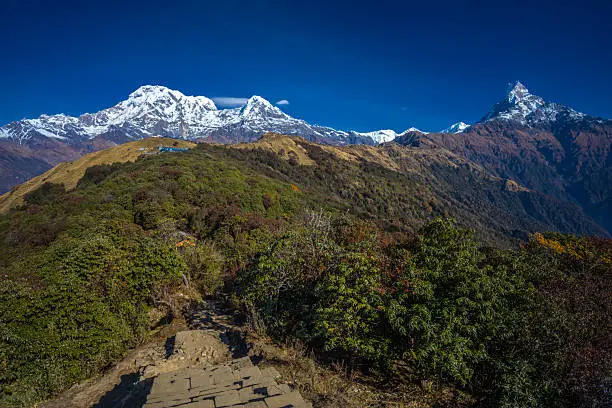 Mardi Himal Trek Nepal