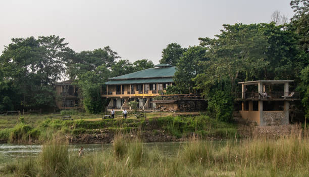 Chitwan jungle resort