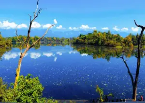 lake
