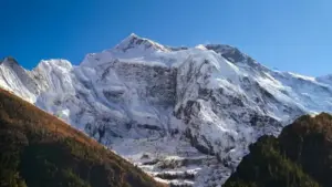 pisang-peak