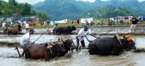 nepal-in-june