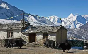 hidden-villages