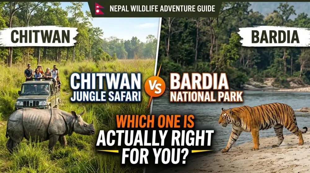chitwan