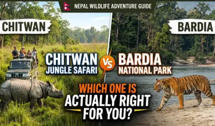 chitwan